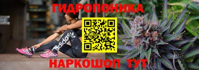 СК Новодвинск