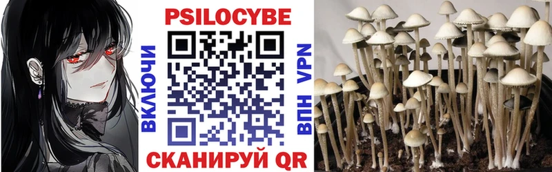 купить закладку  Мелеуз  ОМГ ОМГ   Галлюциногенные грибы GOLDEN TEACHER 
