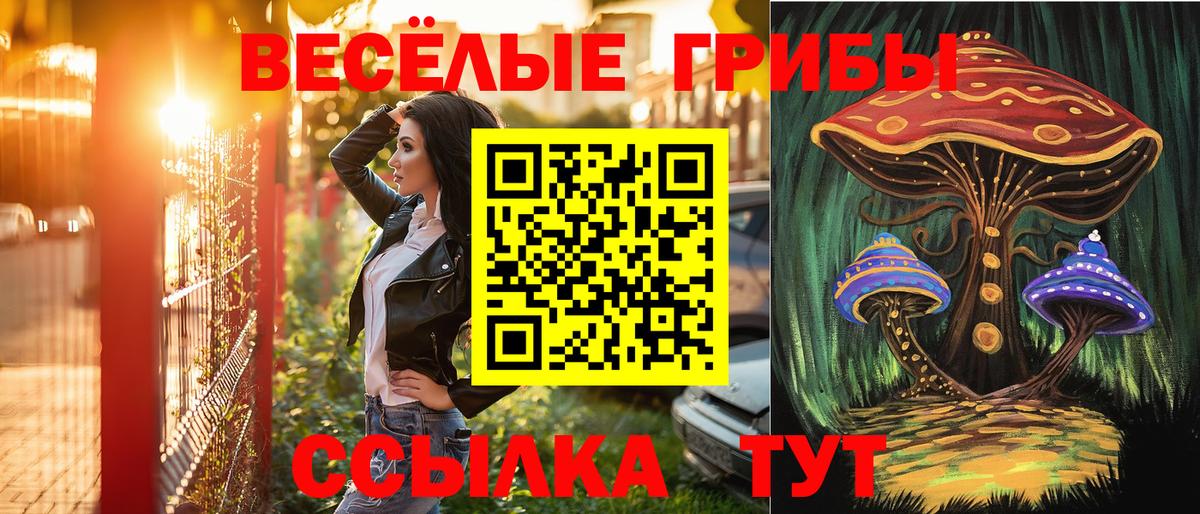 Галлюциногенные грибы Magic Shrooms  Мелеуз 