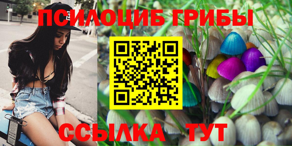 Псилоцибиновые грибы мухоморы Мелеуз