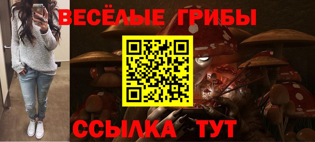 Псилоцибиновые грибы мухоморы Мелеуз