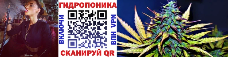 как найти   Мелеуз  Шишки марихуана сатива 
